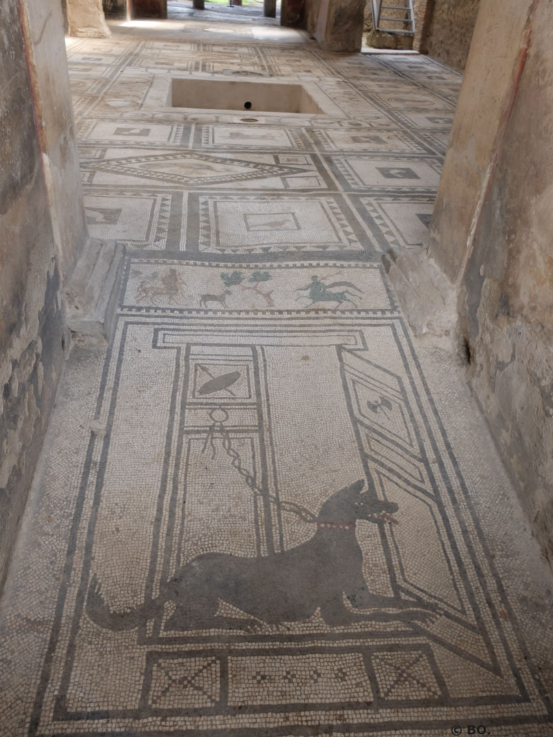 Ceci est une mosaïque représentant un chien de garde sur le site de Pompéi.
