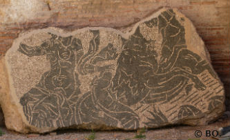 Ceci est une photo des mosaïques des Thermes de Caracalla. (Rome).