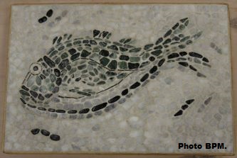 Mosaique de Virginie, représentant un poisson réalisé en galets.